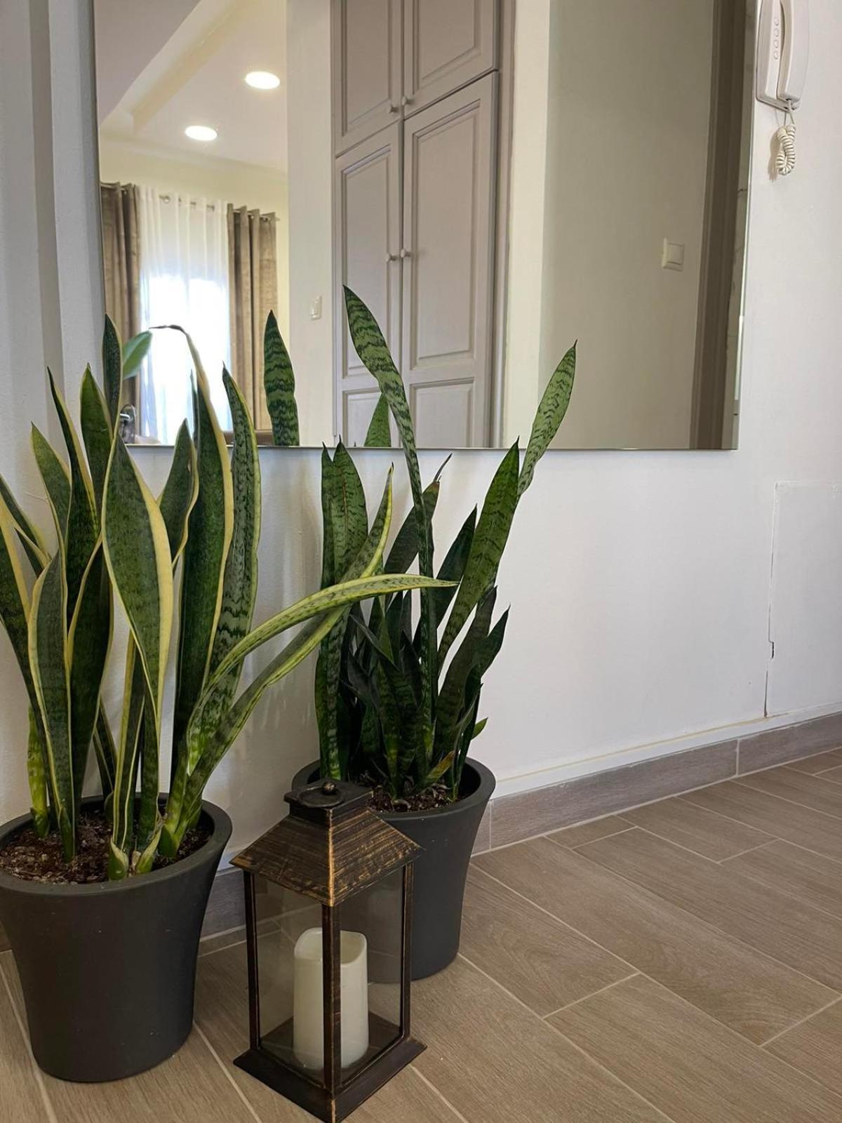 Andromachi 2 Apartment Volos Ngoại thất bức ảnh